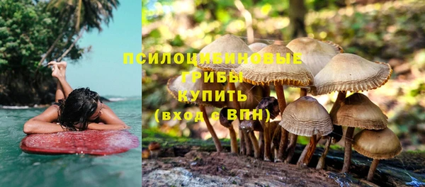 хмурый Алексин