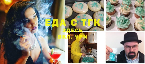 хмурый Алексин