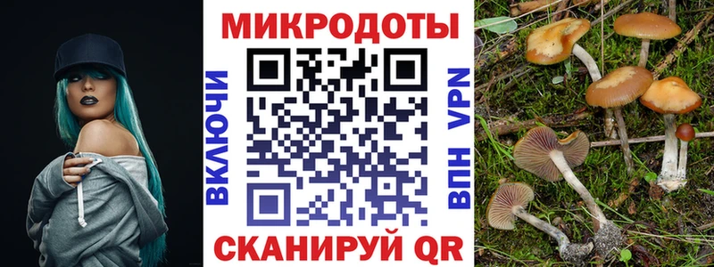 как найти закладки  Козловка  Псилоцибиновые грибы MAGIC MUSHROOMS 